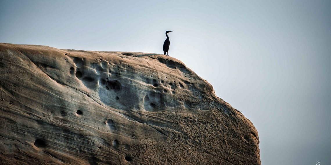 باد لیمر پدیده‌ای جوی در جنوب کشور