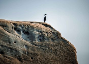 باد لیمر پدیده‌ای جوی در جنوب کشور