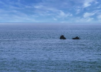 کشتی بنگلادشی غرق شده در ساحل کنگان