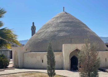 لارستان شهری به رنگ خاک و برکه‌های زیبا