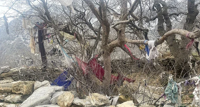 پیران اورامانات 32 پیران اورامانات