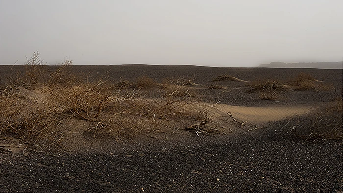Desert