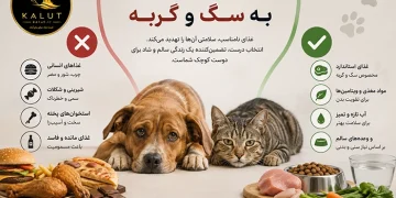 غذا دادن به سگ‌ و گربه
