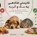 غذا دادن به سگ‌ و گربه